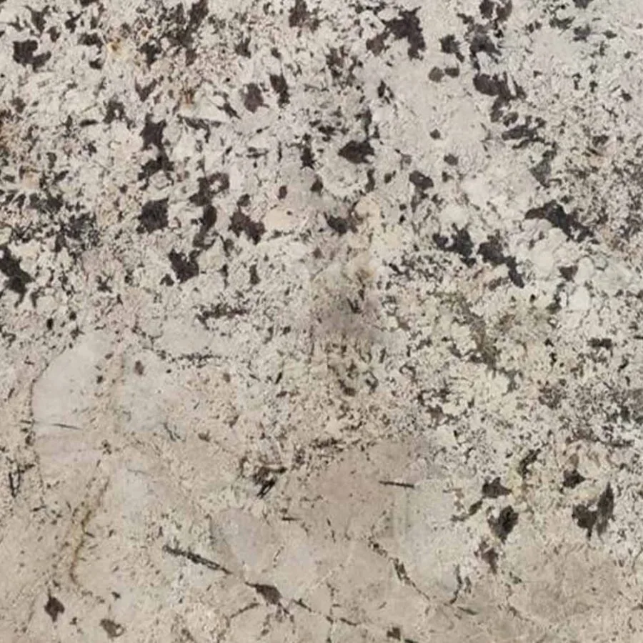 Delicatus White (Granite Classic)